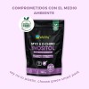Myo Inositol Y D-chiro Inositol 369gr Wellthy 90 Servs 40:1