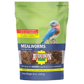 GLOBAL HARVEST FOODS 12816 Food Bird Mealworm, 8 oz