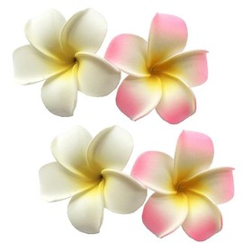 4Pcs White and Pink Hawaiian Frangipani Plumeria Foam Head Flower Clips,Bridal Wedding Party Beach Hair Clip Hair Clips Hair Accessories Clips(7cm)