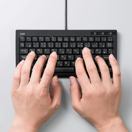 サンワサプライ ミニ&スリムUSBキーボード パンタグラフ テンキー無し ブラック SKB-SL28BK
