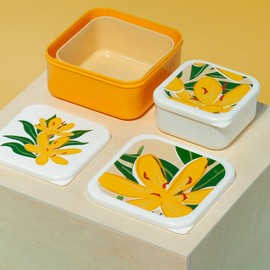 Puckator Florens Hesperantha Set of 3 Lunch Box Snack Pots M/L/XL - Lunchbox with Multi Compartments - Small Food Containers - Lunchbox for Adults and Kids - Girls Boys Lunchbox - Snack Storage