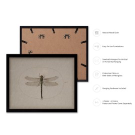 Poster Master Vintage Dragonfly Poster - Dark Academia Artwork - Unique Wall Decor Gift for Home, Living Room, Kitchen, Office, Bedroom, Bathroom - Insect Scientific Print, 16x20 Black Framed