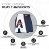Anthem Athletics Infinity Muay Thai Shorts - Kickboxing, boxeo tailandés,