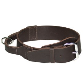 Dingo Brown Collar made of soft leather - with handle, brown, 2.5 x 60 cm (neck size 44-53cm)