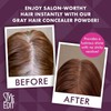 Style Edit Root Touch Up Powder Dark Brown
