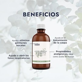 HEBBE - Aceite Esencial de Eucalipto 50 ml | Aceite Orgánico de Eucalipto | Aromaterapia | Difusor | Uso en Spa | Masaje | Corporal | Contenido 50 ml