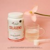 Colágeno Hidrolizado Pacalli Sin Aditivos 300g Sin Sabor