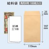 オキナ 封筒 給料 郵便枠無 角形8号 茶色 100枚 KP8KY