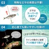 RiNan. Squid Hooks, Fishing Tackle Aori Yayen Squid Squid Squid