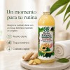 Shampoo Baño Botanico Extracto De Jengibre (crecimiento)1 Lt