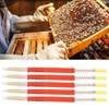 25Pcs Beekeeping Larvae Grafting Needle Bee Queen Rearing Tool Apiculture
