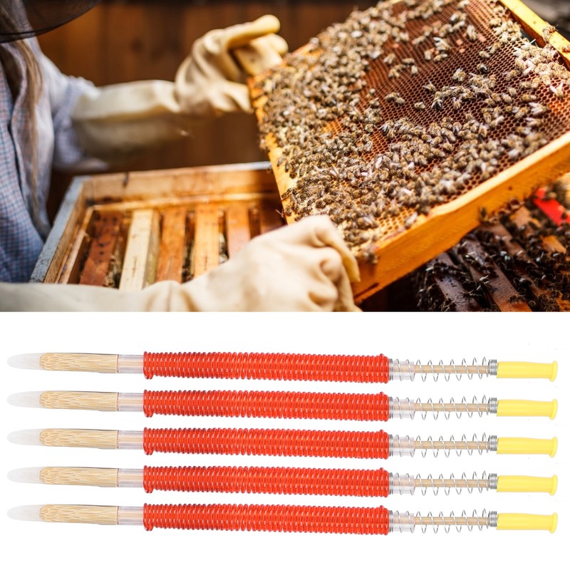 25Pcs Beekeeping Larvae Grafting Needle Bee Queen Rearing Tool Apiculture
