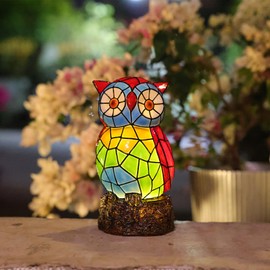 Rezpuao Solar Owl Garden Statues,Owl Decor for Outdoor,Resin Colorful Owls Figurine with Solar Light for Patio,Balcony,Yard,Lawn Ornament,Perfect Garden Gift