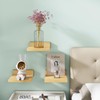 IBUYKE Small Floating Shelf,Wooden Wall Shelf,Set of 3,Display Racks,Hanging Shelf