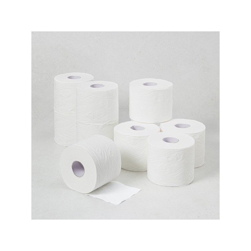 Codi 코디 제주 오름 알로에 베라 30mx30롤 Codi Jeju Oreum