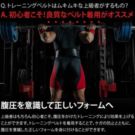 AdLife Training Belt, Nylon, Power Belt, For Beginners, Lightweight, Gym, Abdominal Pressure Belt, Lifting Belt (M)