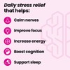 NeuroQ Calm Focus Capsules - Stress Relief Supplement - Supports