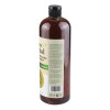 Shampoo Secreto Herbal Anticaida Cola Caballo Romero 1 Lt