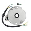 FLYPIG 2 Coil Ignition Magneto Stator for 50cc 70cc 90cc