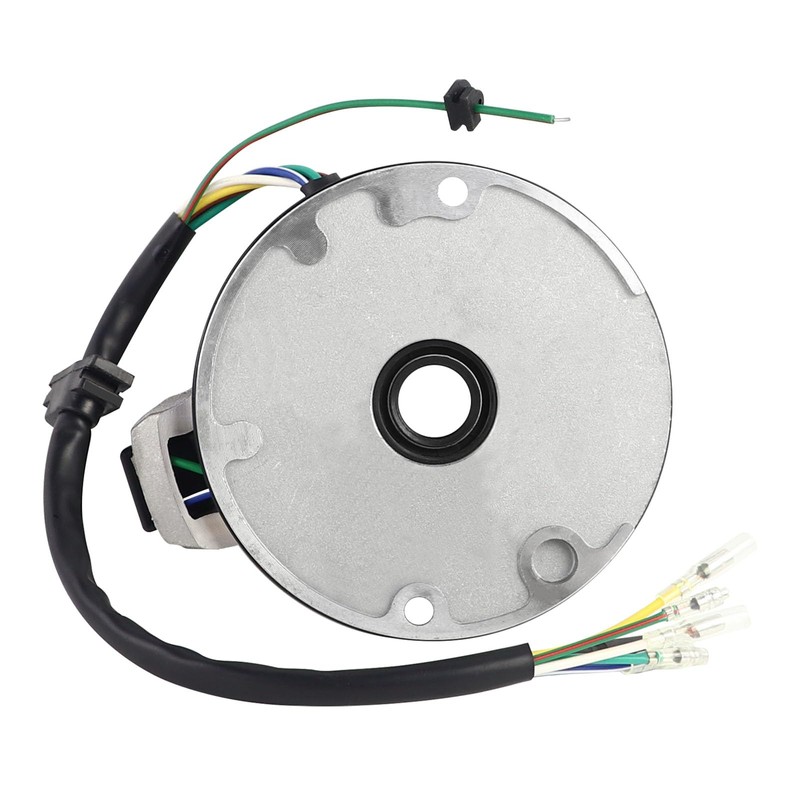 FLYPIG 2 Coil Ignition Magneto Stator for 50cc 70cc 90cc