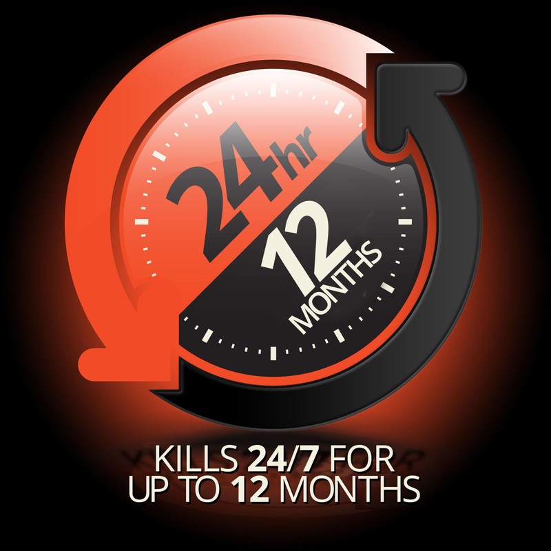 Combat Max 12 Month Roach Killing Bait, Small Roach Bait