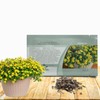 Outsidepride Creeping Zinnia Seeds - 4000 Pcs Annual Flower Seeds