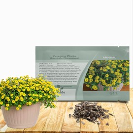 Outsidepride Creeping Zinnia Seeds - 4000 Pcs Annual Flower Seeds for Planting Outdoors, Easy to Grow, Drought Tolerant, Ideal for Pollinator Gardens and Ground Cover Displays