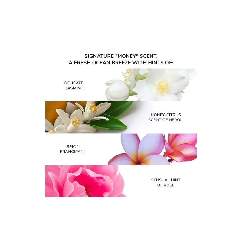 COLOR WOW Money Laundering Hydrating Shampoo, Sulphate-Free Hydrating Shampoo for