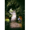 Outdoor Spotlight Pond Lamp Garden Lamp Garden Lighting Pond Light