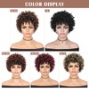 HANNE Ombre Brown Braided Wigs for Black Women Short Afro