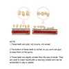 Angzhili 84 Pcs Dental Acrylic Resin Denture False Teeth 3