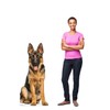 Cardboard People German Shepherd Life Size Cardboard Cutout Standup -