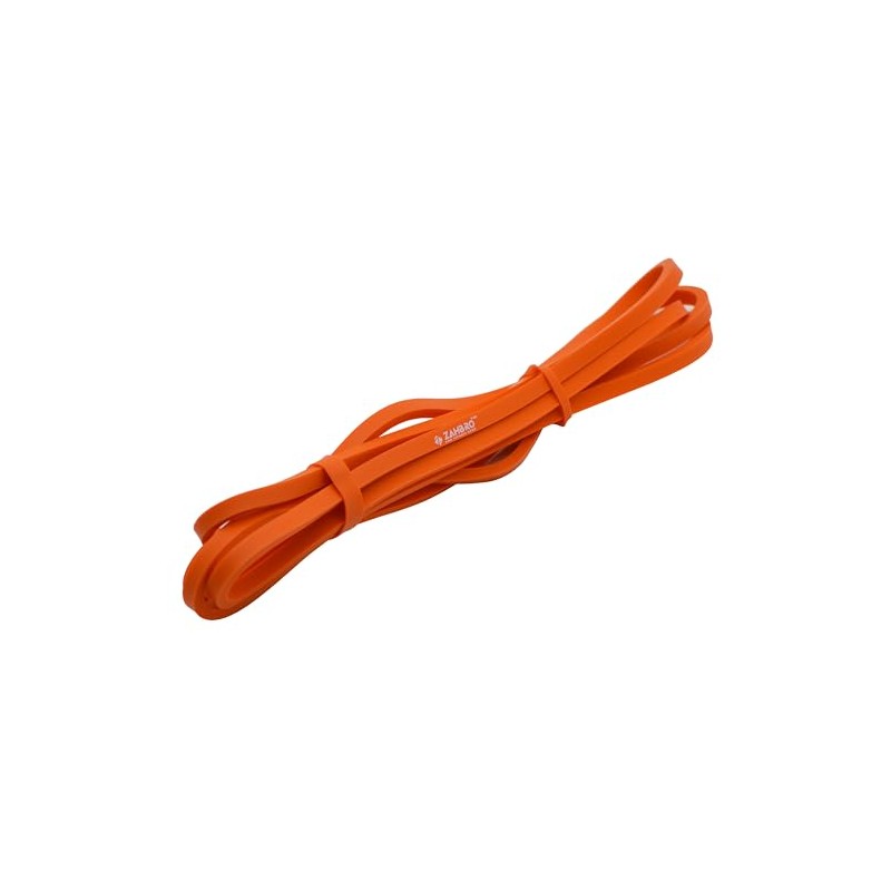 ZAHBRO Resistance Band For Men and Women Pull up Bar,