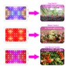 NAILGIRLS LED Grow Light, 600W Grow Lamp for Indoor Plants