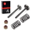 Intake Exhaust Valve Seal Spring Kit For Club Car Golf