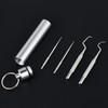 Worldity 5Pcs Reusable Toothpick, Portable Metal Toothpick, Professional Teeth Cleaning
