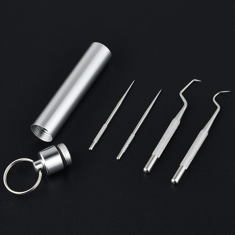 Worldity 5Pcs Reusable Toothpick, Portable Metal Toothpick, Professional Teeth Cleaning
