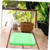 Kisangel 1set Multi-Functional Sprout Trays Wheatgrass Storage Trays Vegetable Starter