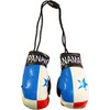 Panama - Novelty Mini Boxing Gloves with Black Snap Connection
