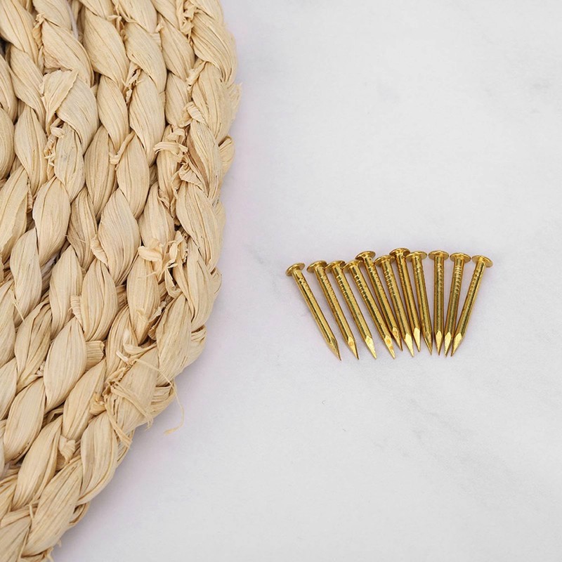 Kodrily Gold Small Nails, 100PCS Hardware Nails Assortment Kit, Round