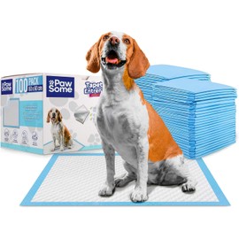 PAW SOME Tapete Entrenador para Perro 60x60cm Desechables para Mascota Súper Absorbentes Antifugas, Pañales de Entrenamiento Control de Olores y Secado Rápido, Azul, 100 Pzs