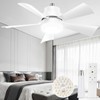 We Charger Socket Fan Light, Ceiling Fans with Spare Light