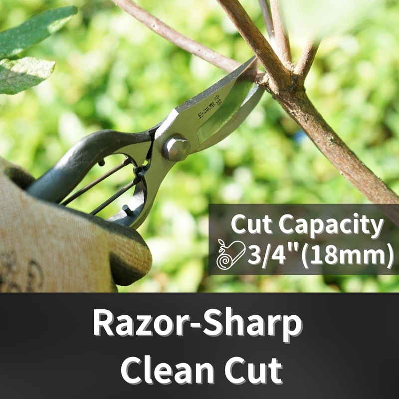 RANSHOU Japanese Pruning Shears for Gardening 9”, Professional Heavy Duty