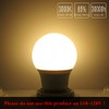 Honle 3W 12V Low Voltage E26 LED Light Bulbs Warm
