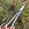 Bonsai Scissors Stainless Steel Leaf Sprout Shears with Long Handle