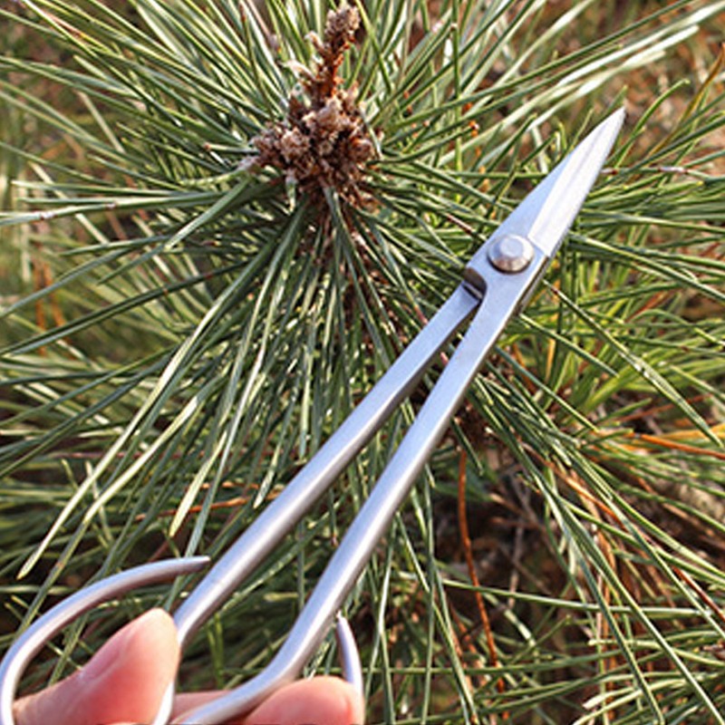 Bonsai Scissors Stainless Steel Leaf Sprout Shears with Long Handle