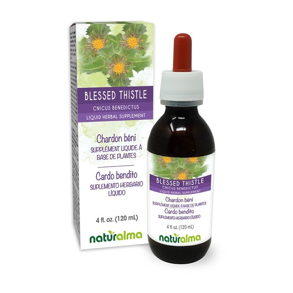 Naturalma Blessed Thistle or Holy Thistle (Cnicus benedictus) herb with