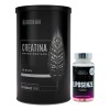 Kit Creatina Micronizada 450g Birdman + Quemador Lipoenzimas