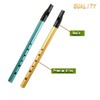 SDCDOW Irish Tin Whistle Set Key of C and Key