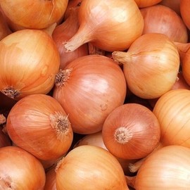 농담 국내산 단단한 햇양파 3kg 소형 Joke Domestic Hard Fresh Onion 3kg Small